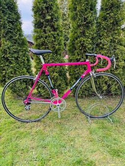 F.Moser Team SLX