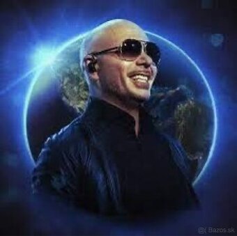 Pitbull Praha 2ks
