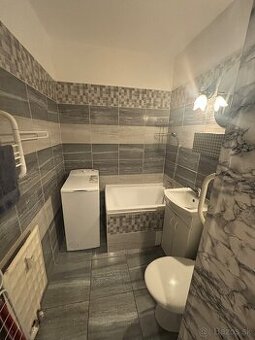 Prenajmem 1 Izbovy byt v Dunajskej Strede