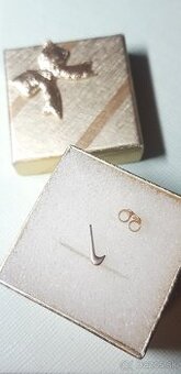 ZLATA PUNCOVANA NAUSNICA