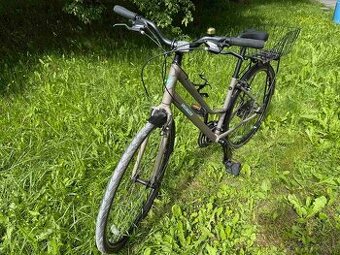 Specialized Alibi Sport EQ 2019