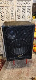 REPRODUKTORY DAN 350/500W PA-15-3-350 (2 ks) + DJ prísl.
