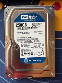 WD Caviar Blue 250GB