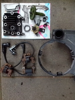 Diely  Briggs 190 ccm