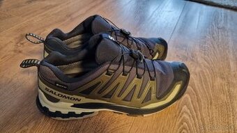 Salomon XA PRO 3D V9 GTX