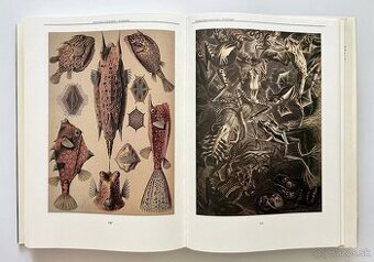 Nádherná séria encyklopédií