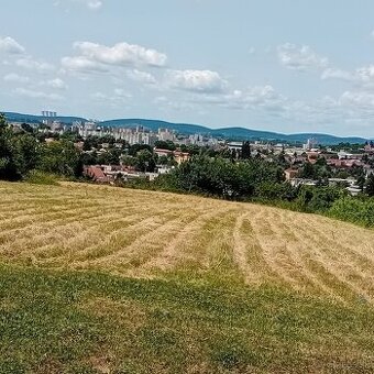 Investičný pozemok Levice 3300 m2 -Staré Levice aj chatka