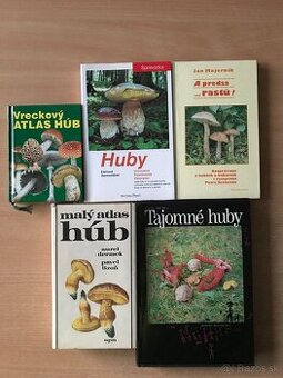 5 x huby