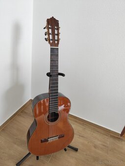 Gitara Martinez MC 58C