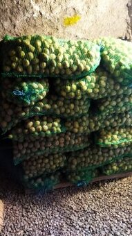 Predám sadbove zemiaky