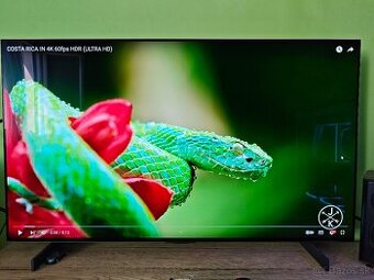 Predam TV 42" LG OLED42C31