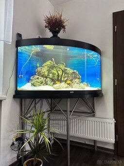 akvárium juwel trigon 350 + stolik