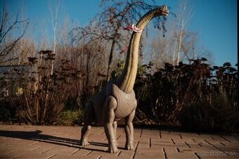 Velke dinosaury (50-80cm) (trex, brontosaurus a pod)