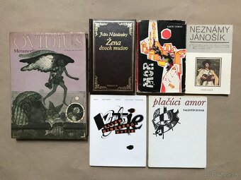 Daniel Silva, Michael Connelly, Beniak, Karika, Metamorfózy