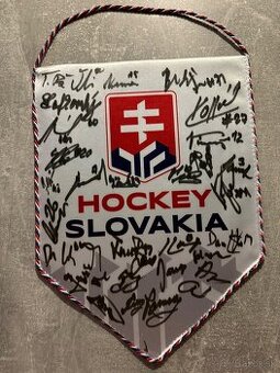 Vzácny kúsok-vlajka podpísaná hokejovým mužstvom SR
