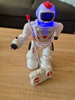 Robot