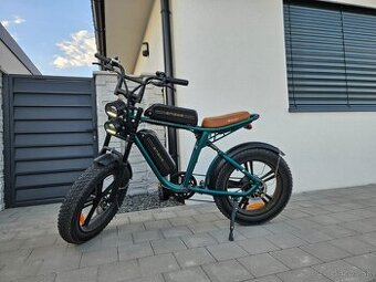 Engwe M20