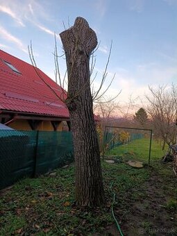 Predám orechové drevo gulatinu