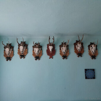 Poĺovnícké trofei