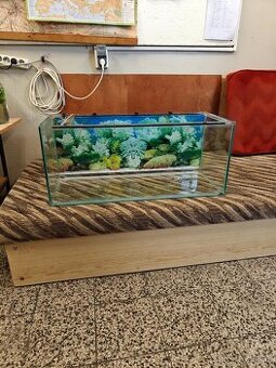 Akvárium + prislusenstvo