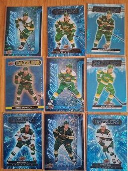 Hokejove karty,kartičky Minnesota Wild - dazzlers