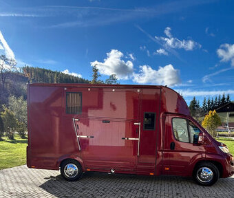 Prepravník  na kone (auto) Opel Movano