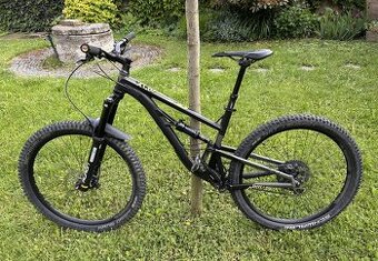 Kellys Thorx 10