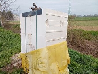 Predám Ytong lambda 500