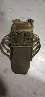 Plate carrier
