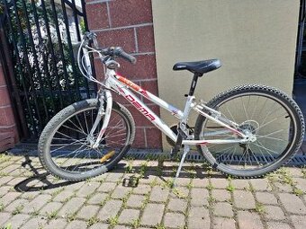 Detský bicykel veľkosť kolies 24