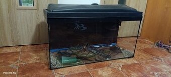Predam akvarium s prislusenstvom - 1
