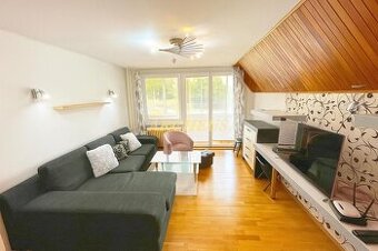 NOVÉ V PONUNKE - ZREKONŠTRUOVANÝ 3 - IZBOVÝ BYT, HUMENNÉ - 1