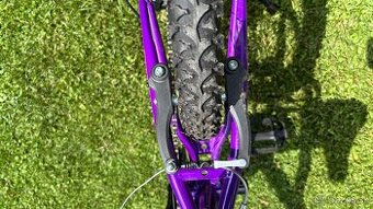 Novy 20” detsky bicykel
