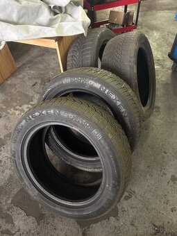 225/55 r17 nexen