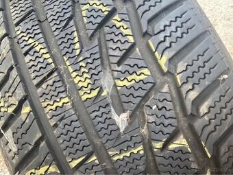 225/50R17 zimná