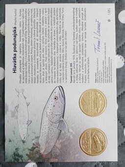 Autorská karta hlavátka podunajská