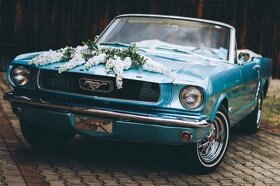 Svadobné auto, svadba, film, fotenie, výhliadkové jazdy - 1