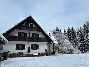 Dovolenka v Slovinsku (Bohinj-Bled)