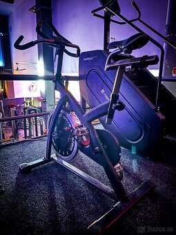 STACIONARNY BOCYKEL INSPORTLINE