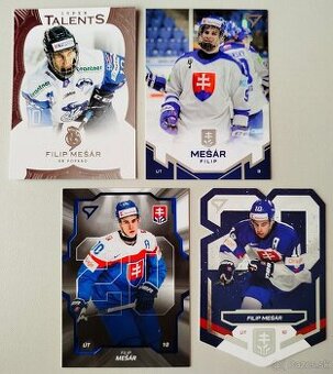 Hokejové kartičky HOKEJOVÉ SLOVENSKO + TL - Filip MEŠÁR