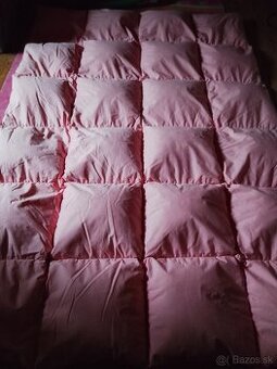 Paplony z husacieho peria