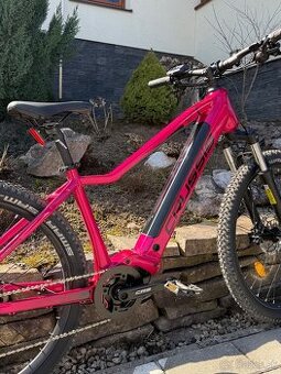 Elektrobicyklov, E- BIKE, crussis