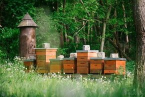 Produkty včelnice