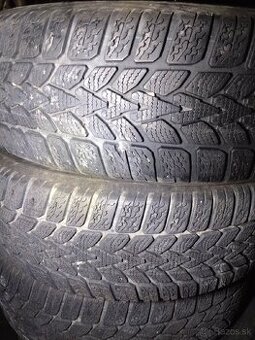 195/65R15 zimne