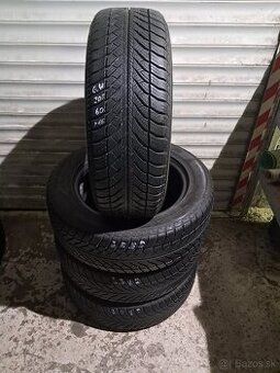Goodyear zimné 205/60/R16