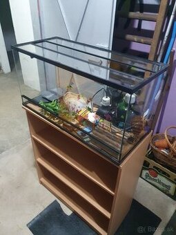 Terarium pre Korytnacku