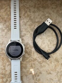 Garmin fenix 5s