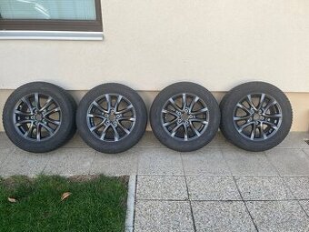 Zimna sada MAZDA R16