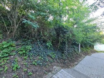 Malý pozemok 253m2, šírka 7m. Akurát na záhradku