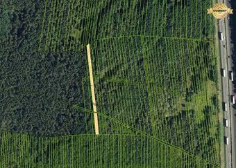 NA PREDAJ spoluv. podiel 1/2 na lesných pozemkoch v Lozorne